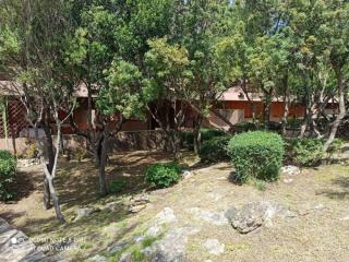 Cugnana Mare Resort Cristoforo Travel